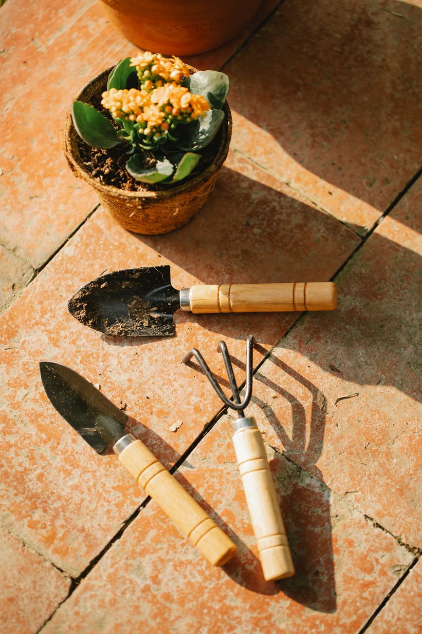 Blooming Lovely Chaos: Real Garden Adventures
