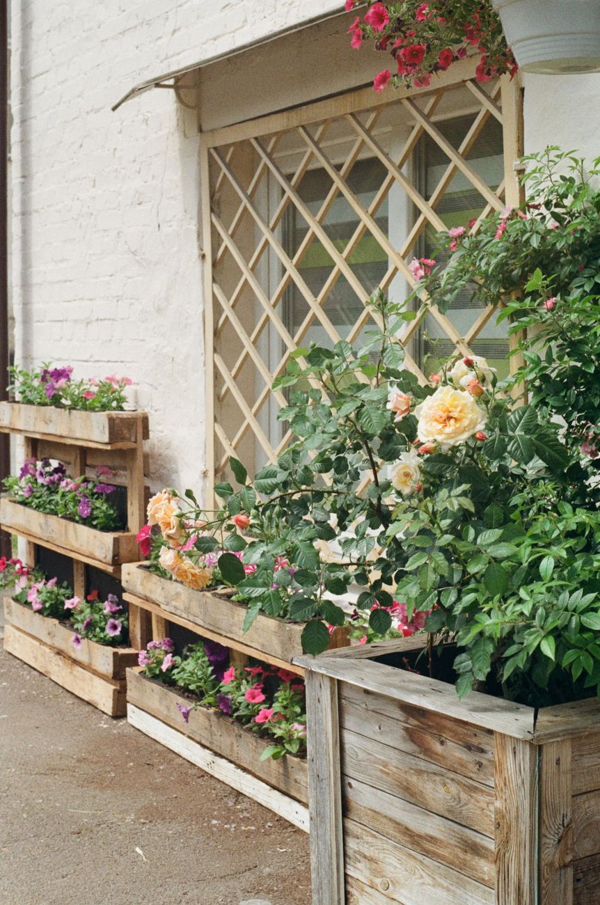 The raised beds are getting a makeover